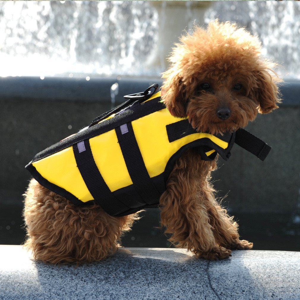 ★アウトドア★キャンプ★ペット用★犬用ライフジャケット★小型犬・中型犬★ 水遊び★海★川★ 災害グッズ★救命胴衣★介護用ハーネス★5拍卖