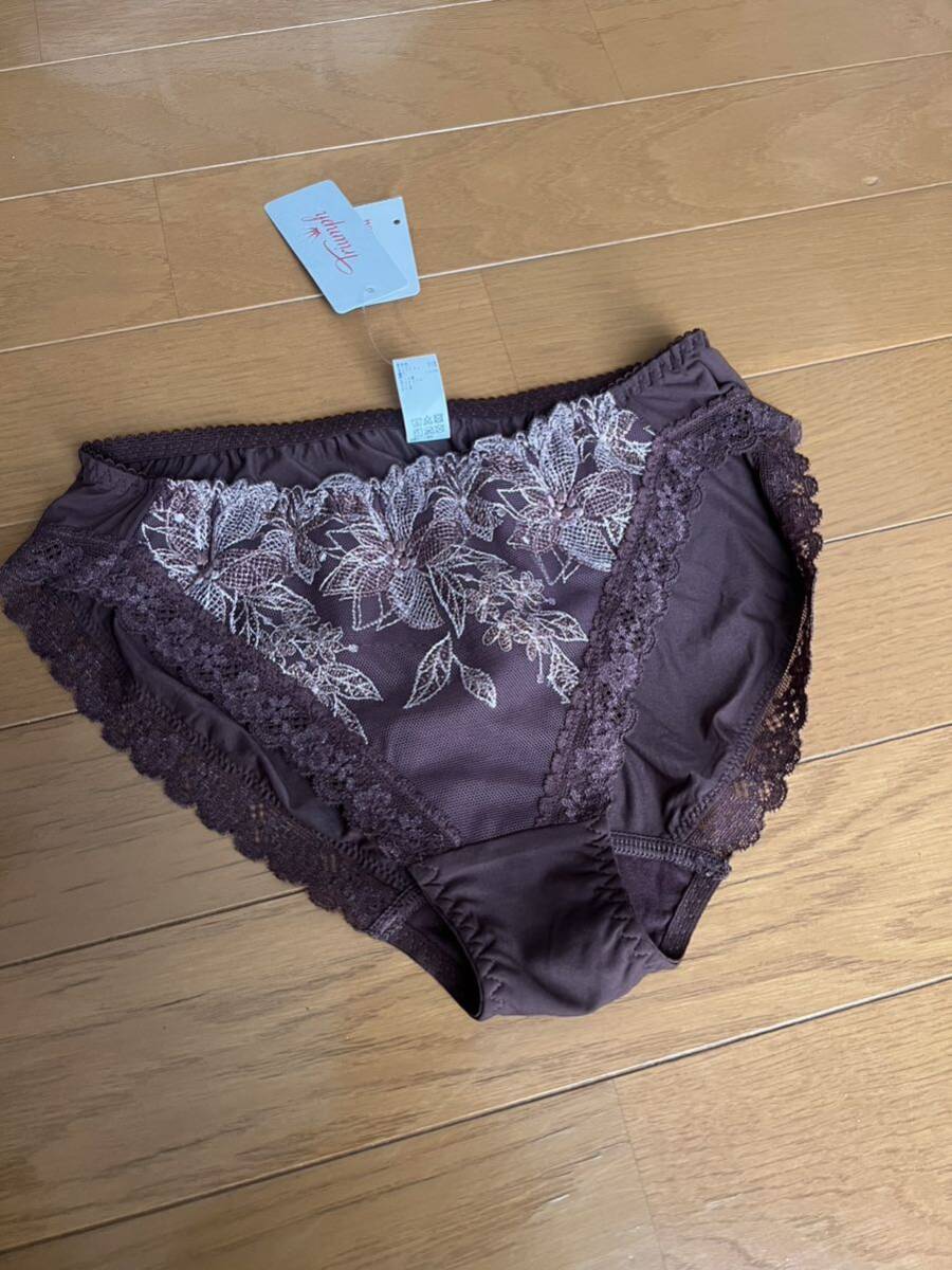 triumph トリンプ TR536 天使のブラ 魔法のハリ感 ショーツ 茶色 新品未使用です。 Mスタンダード拍卖