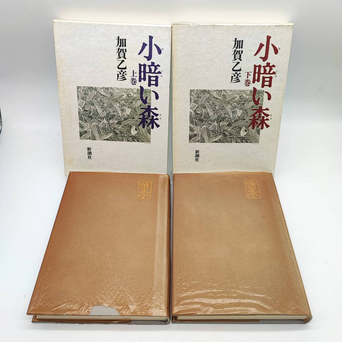 AY241025 小暗い森 上巻/下巻 2冊セット 加賀乙彦 新潮社拍卖