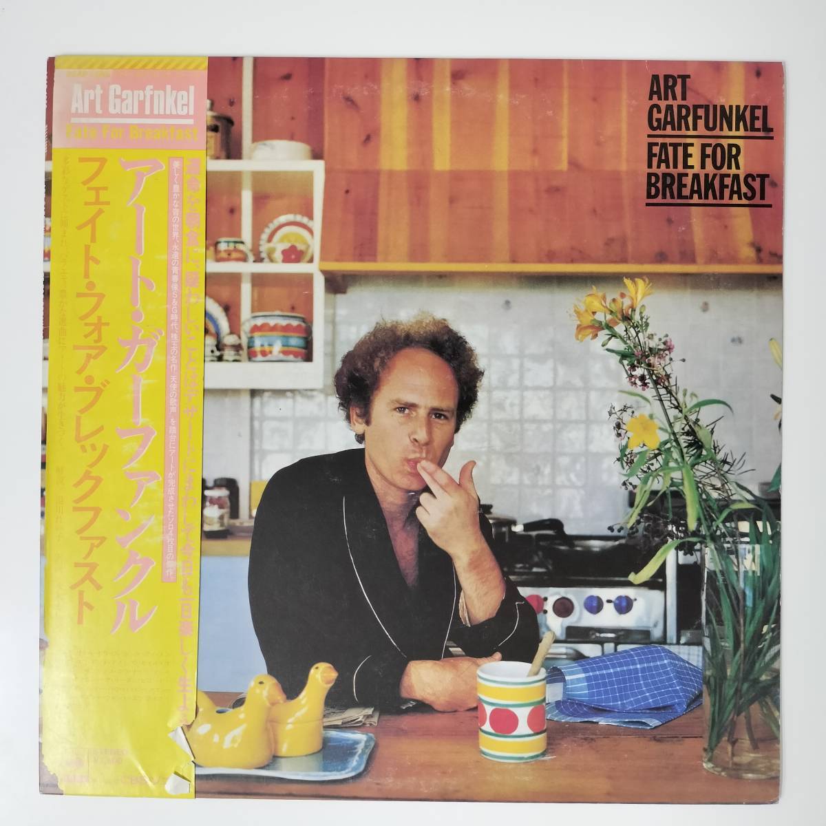27434 ★美盤 ART GARFUNKEL/FATE FOR BREAKFAST ※帯付拍卖