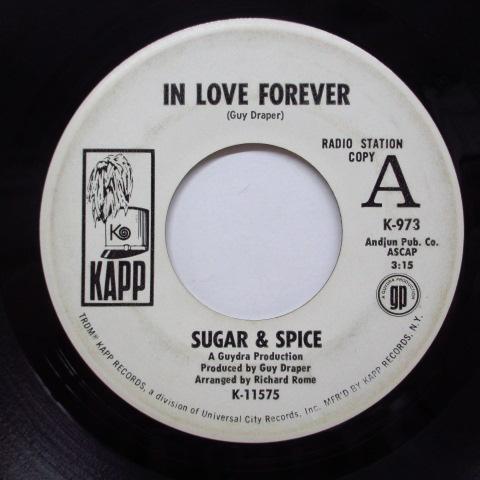 SUGAR & SPICE (シュガー&スパイス) -In Love Forever (US プロモ白ラベ「両面同曲」7)拍卖