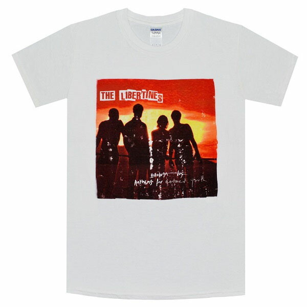 THE LIBERTINES リバティーンズ Anthems For Doomed Youth Tシャツ Sサイズ オフィシャル拍卖