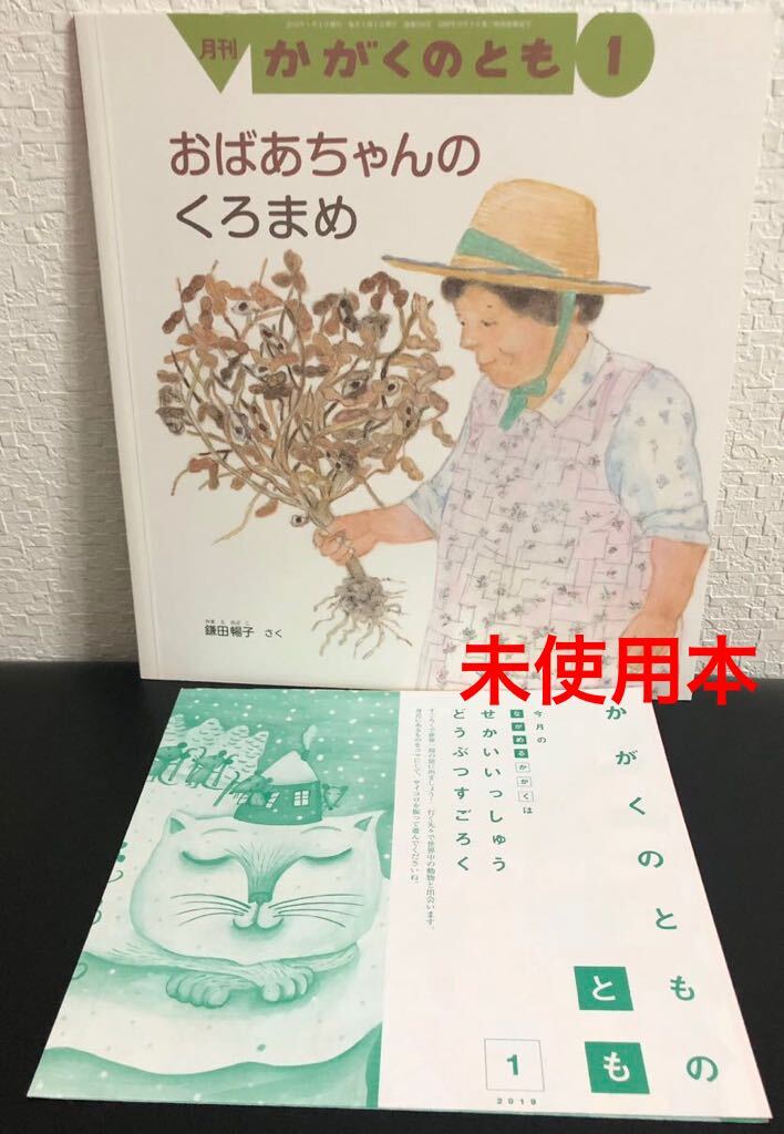 ◆未使用◆「おばあちゃんのくろまめ」かがくのとも 折り込み付録付き 鎌田暢子 福音館 2019年拍卖