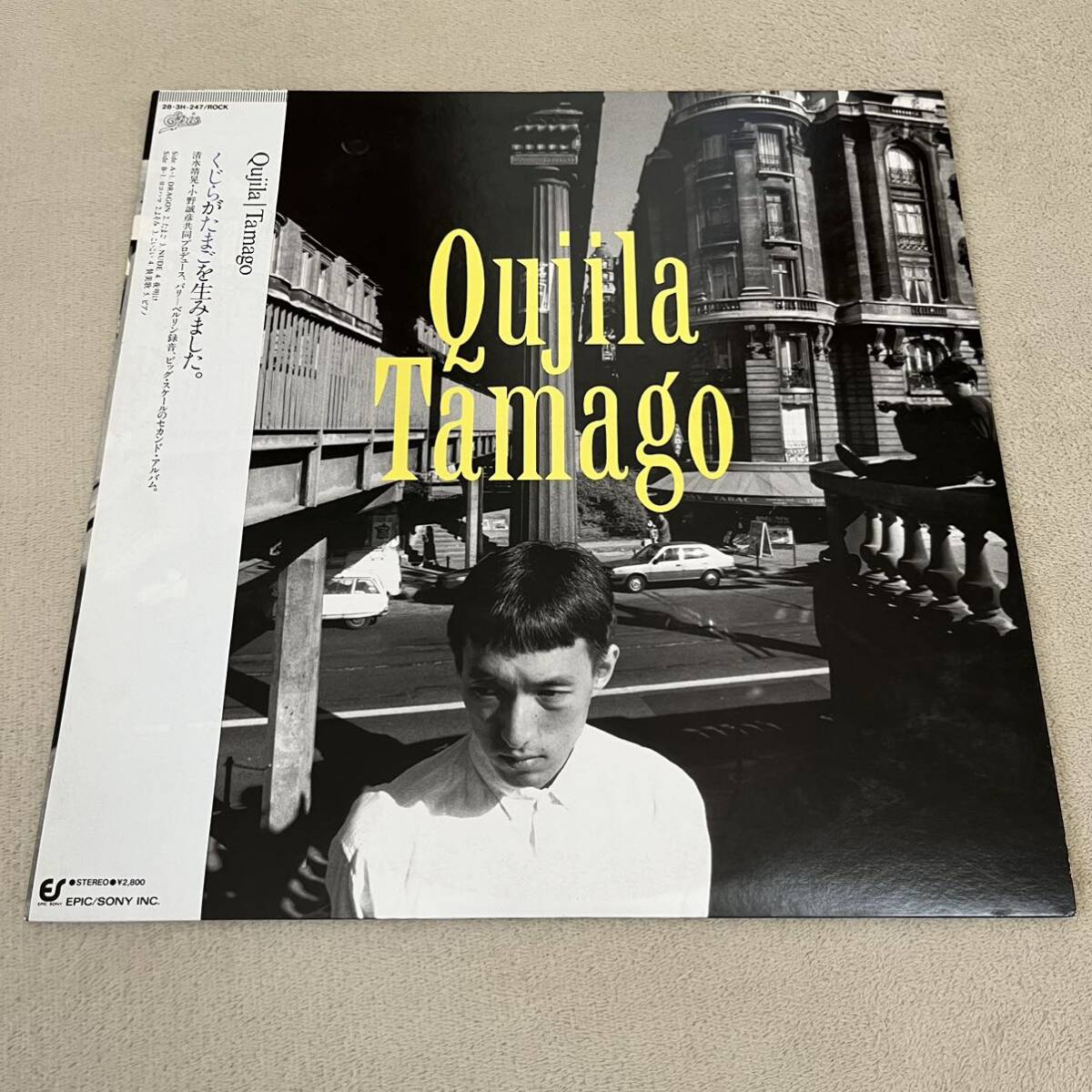 【帯付ポートレート付】QUJILA TAMAGO くじらがたまごを生みました / LP レコード / 29 3H 247 / ライナー有 / 和モノ /拍卖
