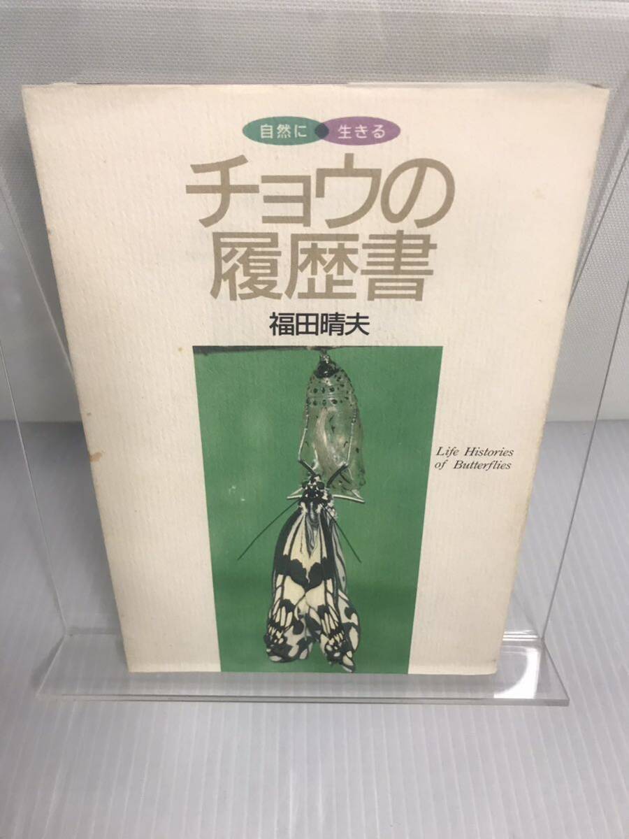 チョウの履歴書拍卖