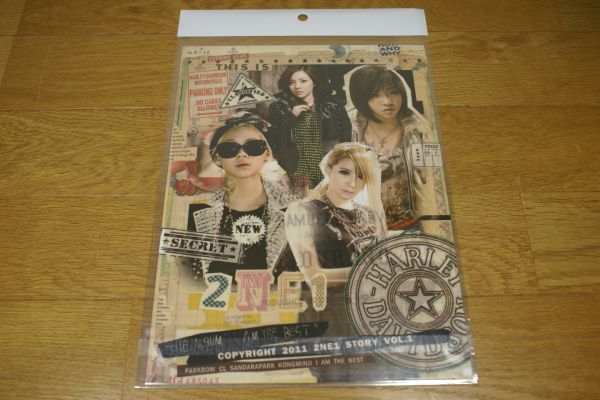 2NE1 2 NE 1 下敷き 19×26.5cm 送料215円~ 韓流拍卖