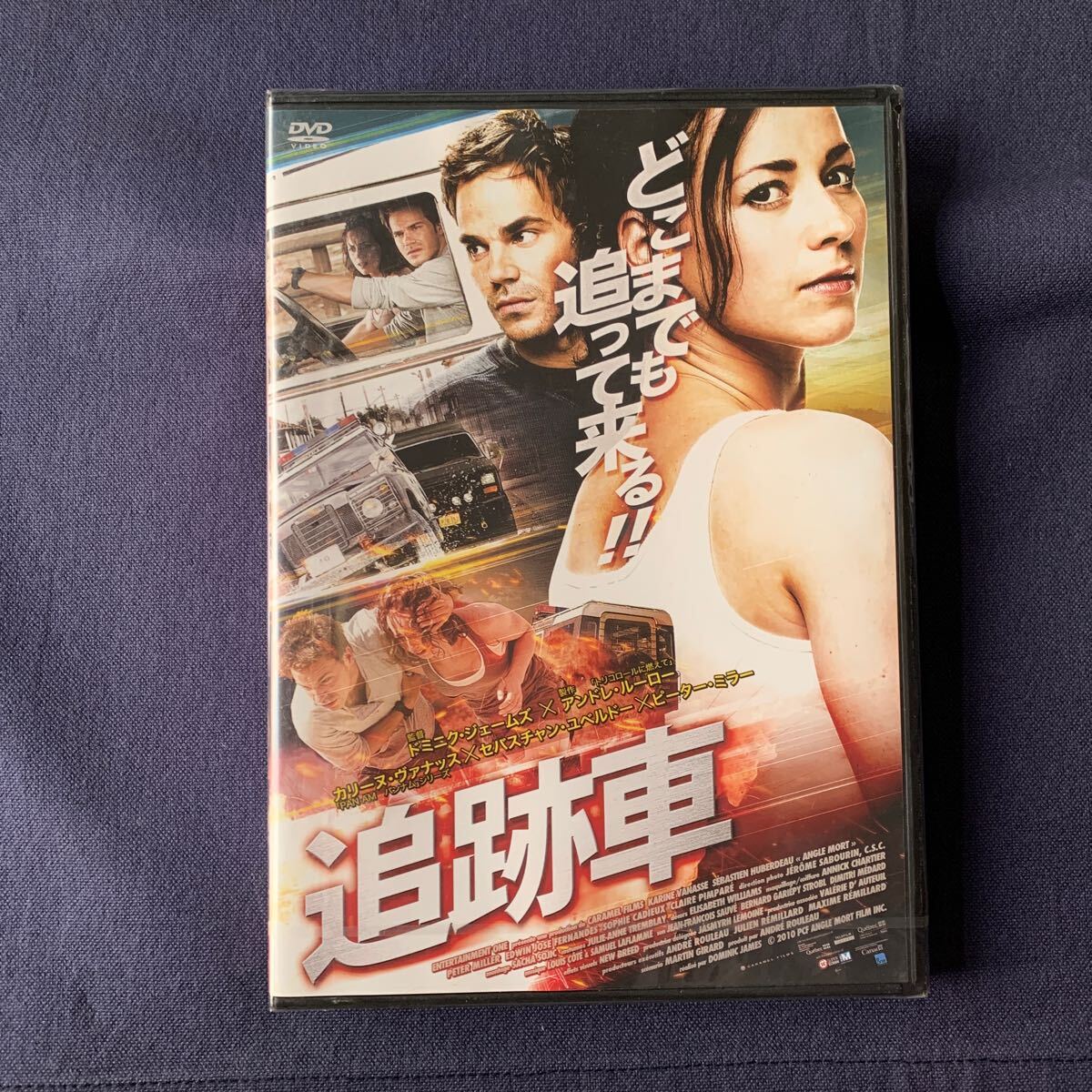 【未開封】【セル】 DVD『追跡者』カリーヌ・ヴァナッス マーティン・シラール ピーター・ミラー拍卖