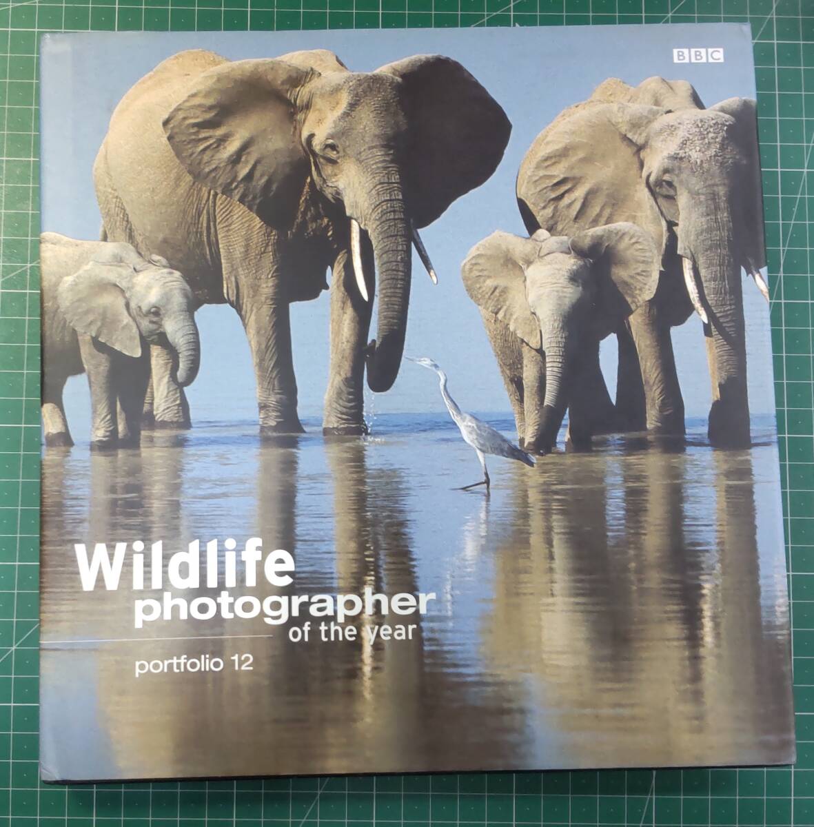 【洋書】Wildlife Photographer of the Year: Portfolio 12 ワイルドライフ 2002●H3501拍卖