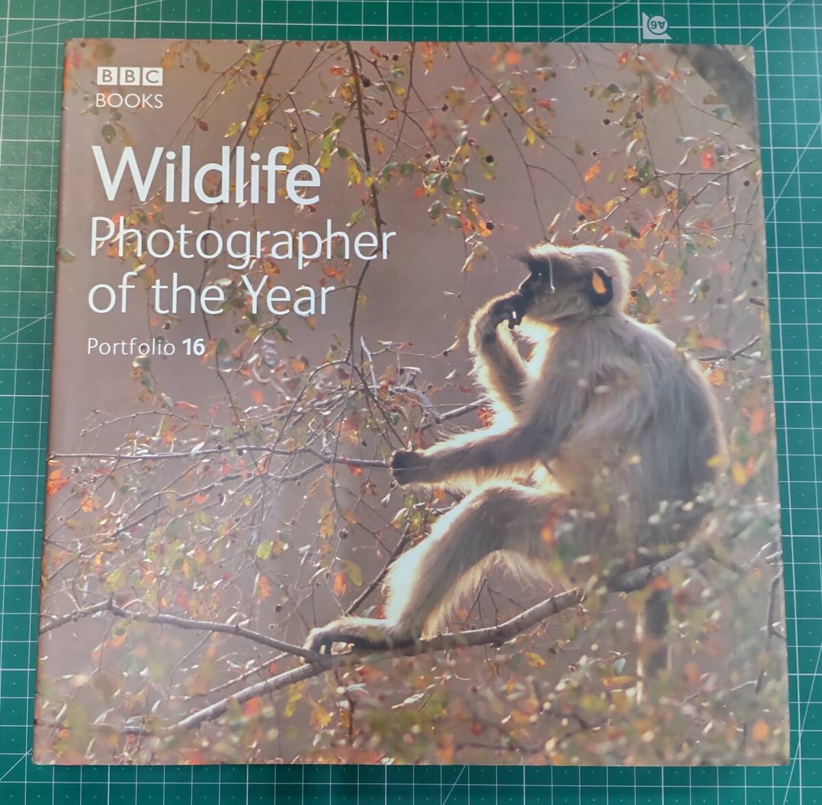 【洋書】 Wildlife Photographer of the Year: Portfolio 16 ワイルドライフ 2006●H3501拍卖