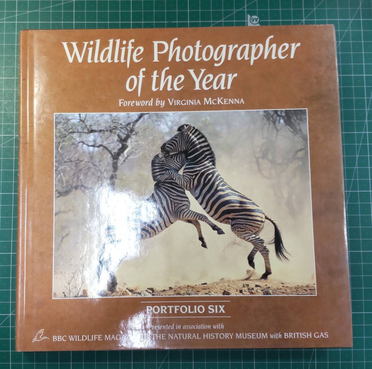 【洋書】 Wildlife Photographer of the Year: Portfolio Six ワイルドライフ 1996●H3501拍卖