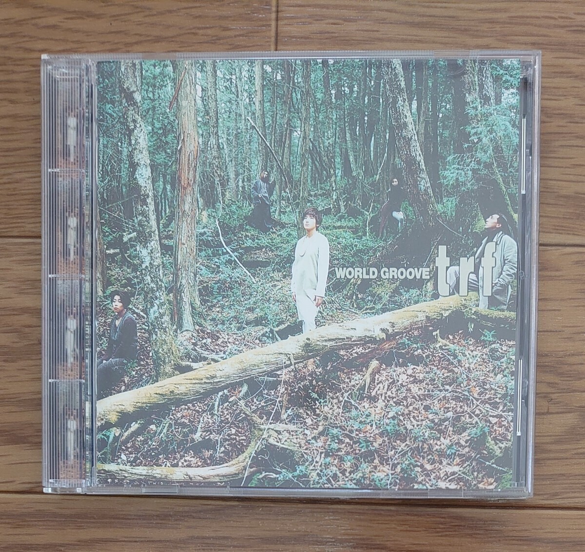 CD trf WORLD GROOVE 動作異状なし エイベックス 拍卖
