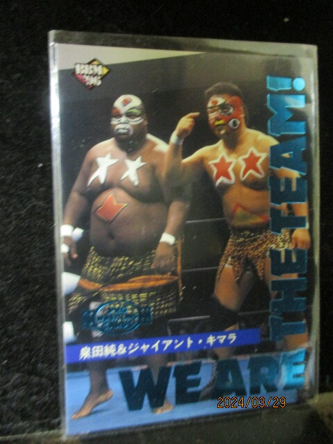 ◎プロレスカード 泉田純/ジャイアントキマラ 1996 BBM プロレス #336  即決!!拍卖