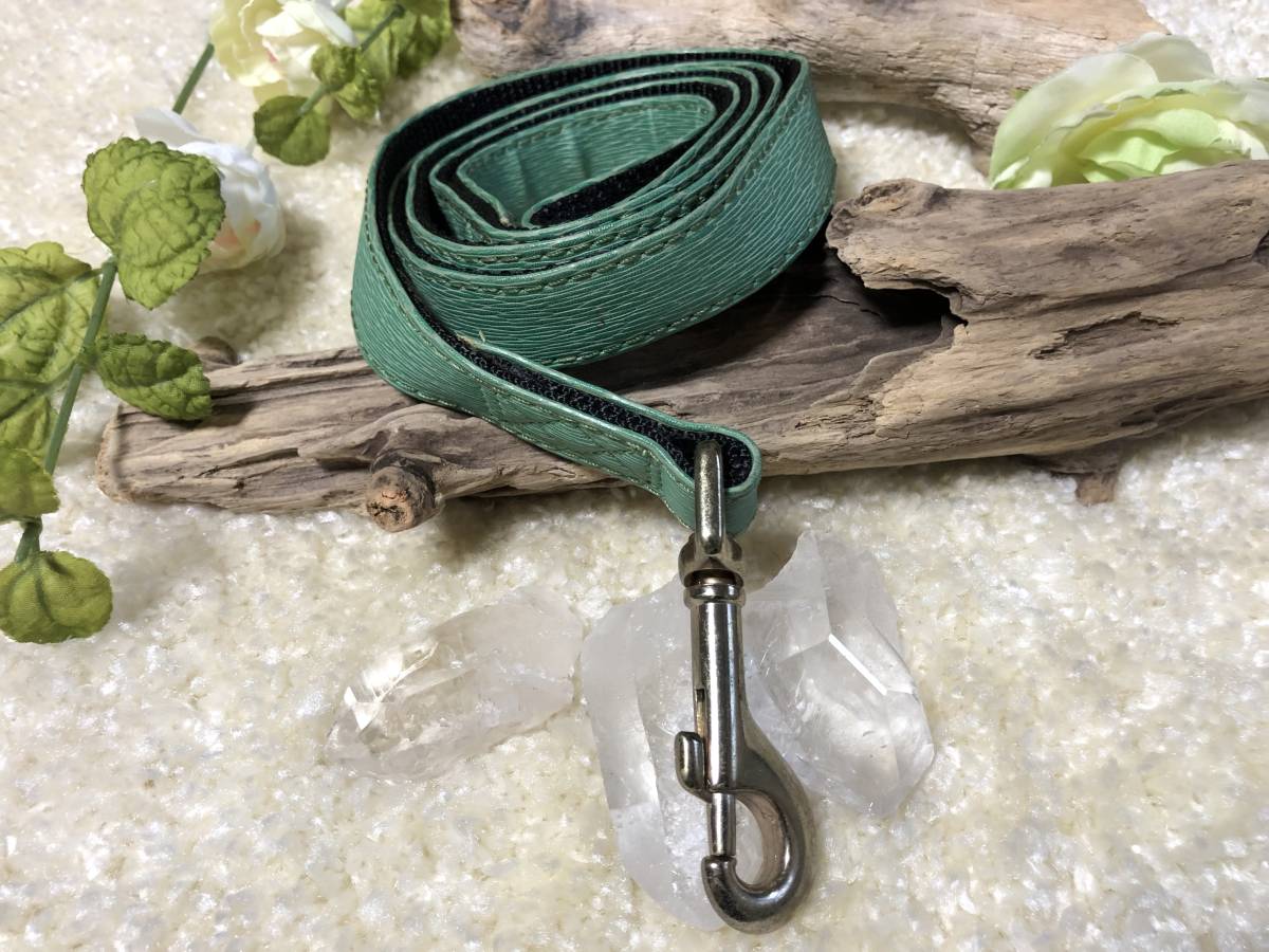 ★同梱お得★中型犬リード-№29・アートンリード・グリーン♪拍卖