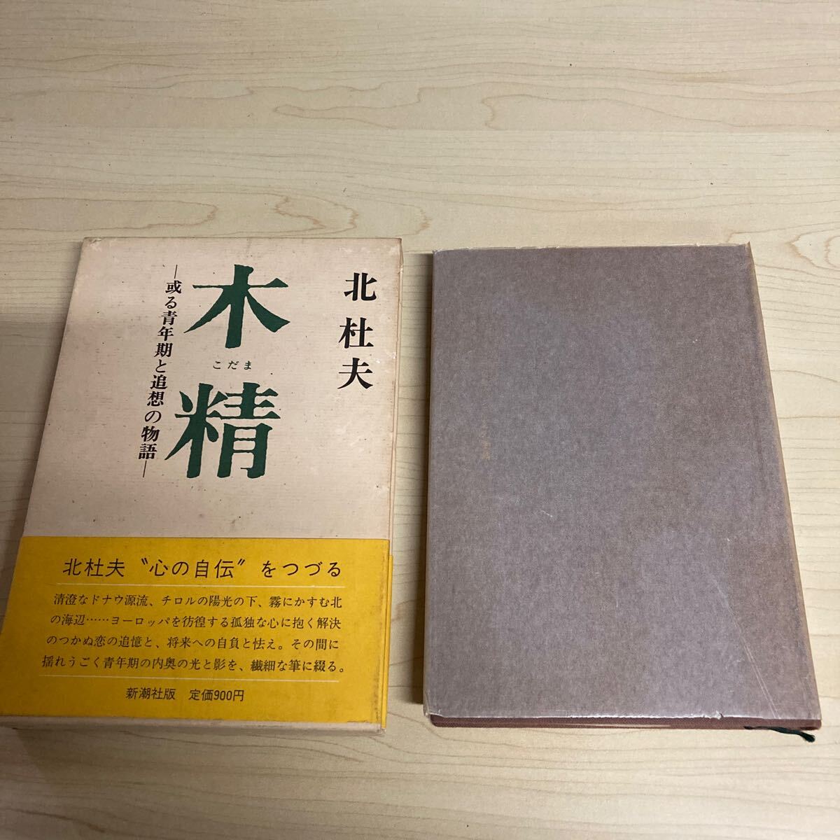 木精 或る青年期と追想の物語 北杜夫 1975年発行拍卖