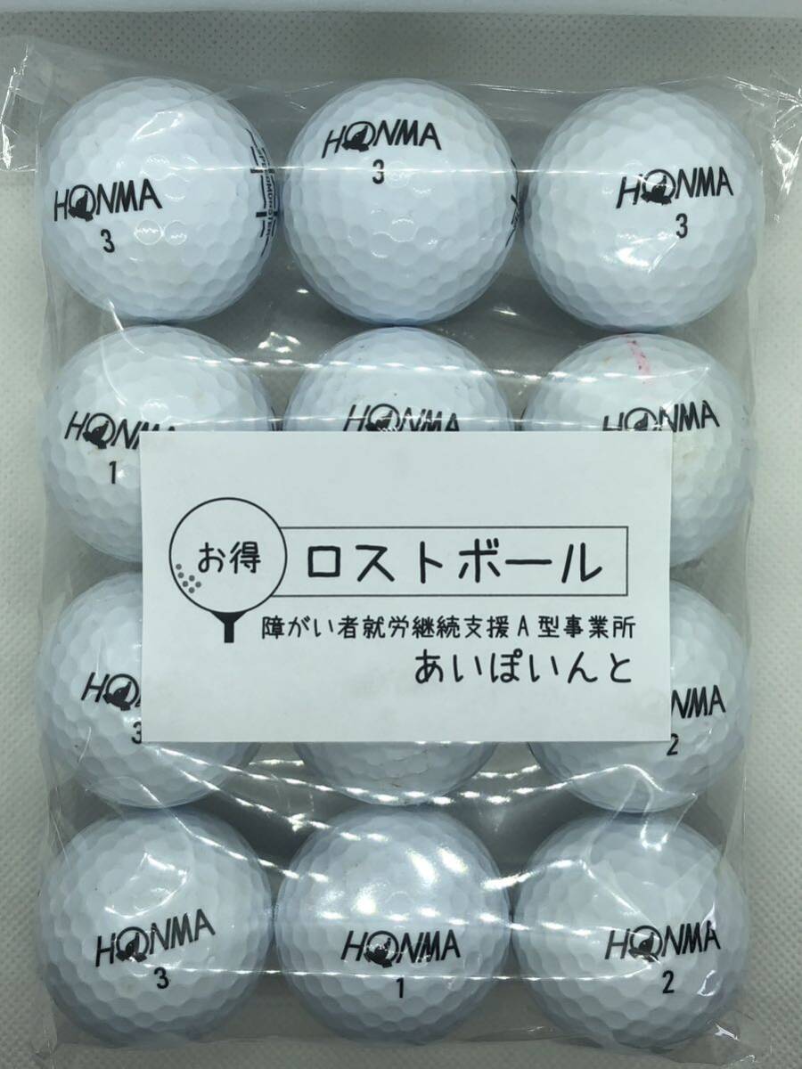 101-SM)HONMA SPEED MONSTER 12個 ロストボール拍卖