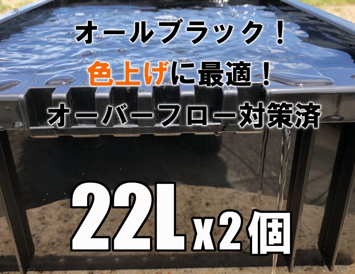 【台風もゲリラ豪雨も安心!】スマートバルブでオーバーフロー対策済み飼育容器NV-BOX22L(ブラック) 2個拍卖