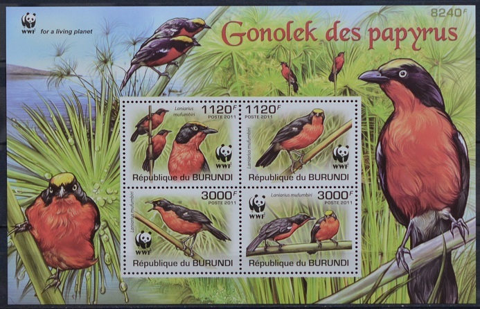 「FK35」ブルンジ切手 2011年 鳥拍卖