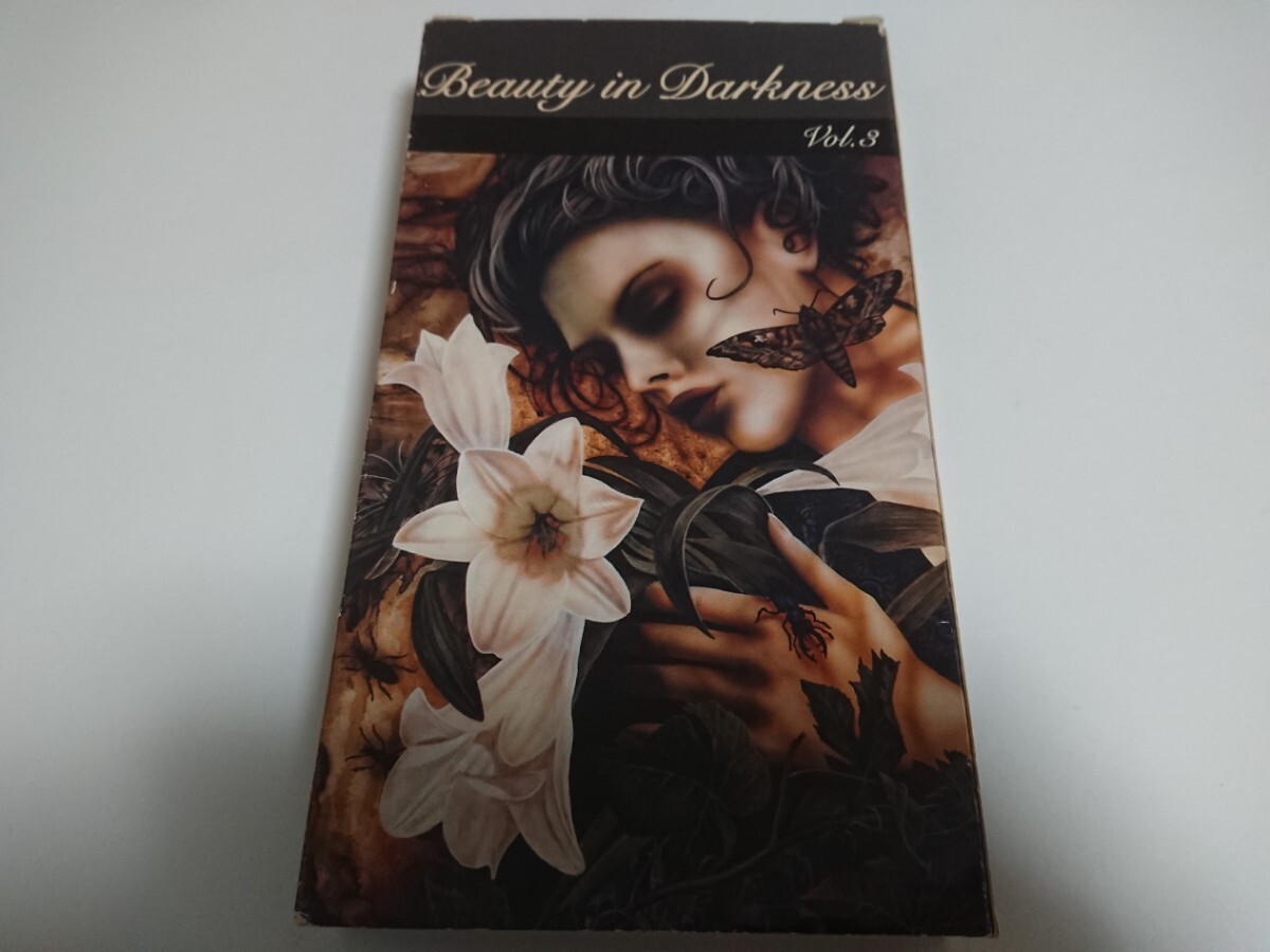 BEAUTY IN DARKNESS Vol.Ⅲ VIDEO ビデオ THERION / PARADISE LOST / NIGHTWISH / THE GATHERING / DIMMU BORGIR拍卖