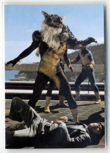 ◆防水対策 厚紙補強 カルビー 仮面ライダーチップスカード(2003 復刻版) 373番 がんばれ 滝! トレカ 即決拍卖