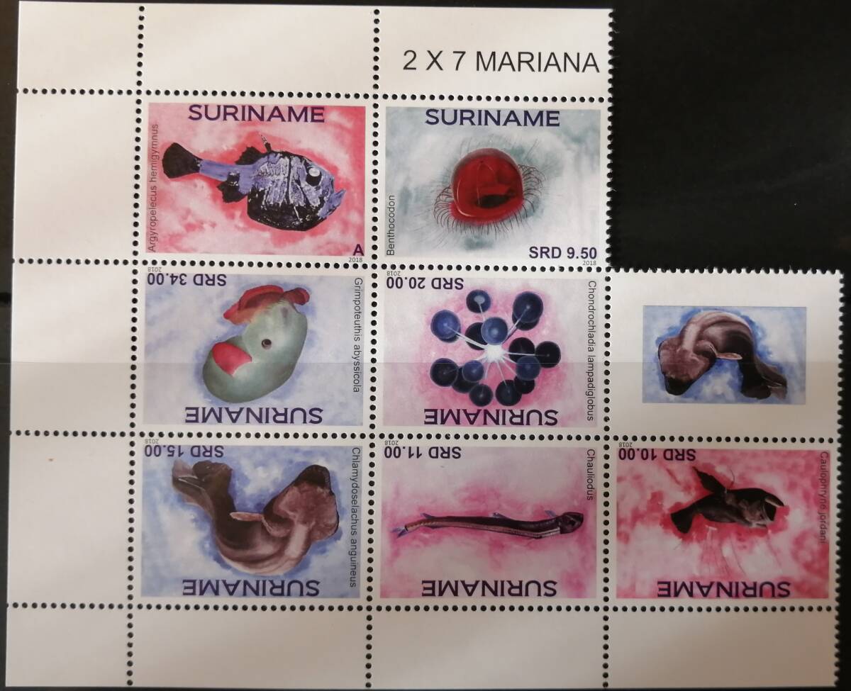 スリナム 深海生物(7種ハーフシート) MNH拍卖