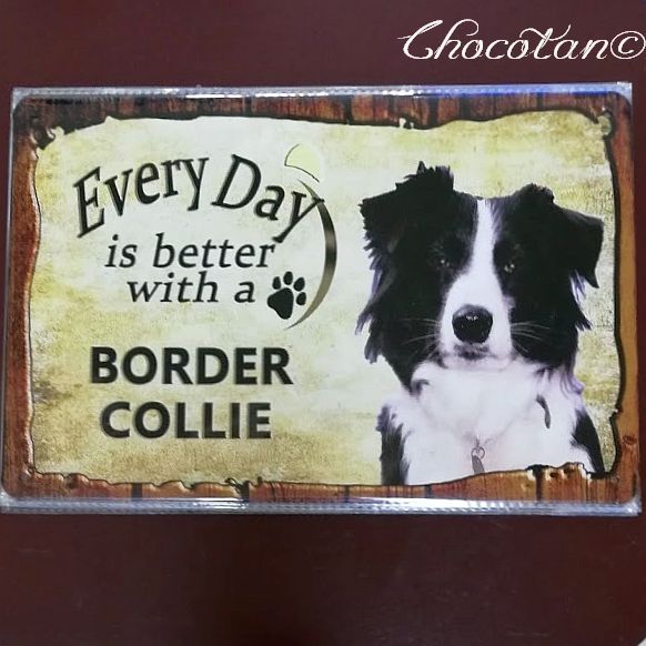 【送料無料】ボーダーコリー ③ Every Day メタルサインプレート 【新品】拍卖
