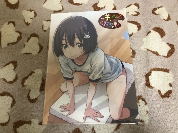 d103クリアファイル この美術部には問題がある!  メロンブックス特典 いみぎむる 体操服拍卖