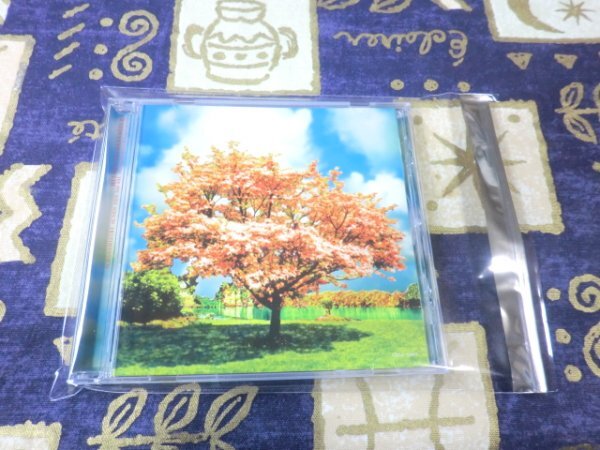 ★☆★ケース新品★ハナミズキ 一青窈 火曜サスペンス劇場 4988001988830 COCA15622★☆★拍卖