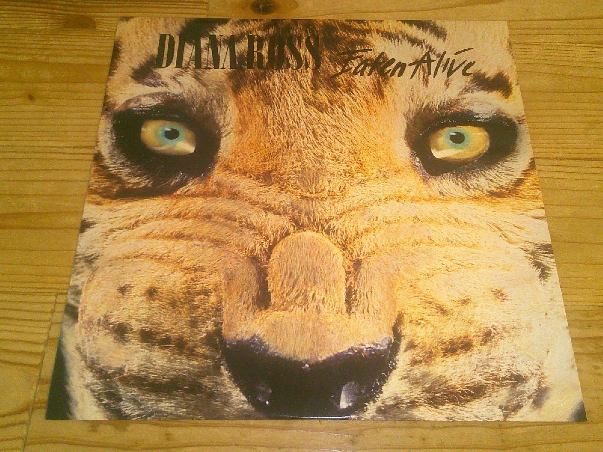 12’LP:DIANA ROSS EATEN ALIVE ダイアナ・ロス:US盤拍卖