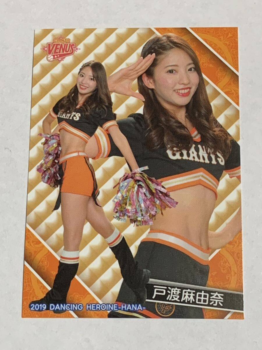 戸渡麻由奈 2019 BBM チアリーダー 華 #67 巨人 TEAM VENUS 即決拍卖