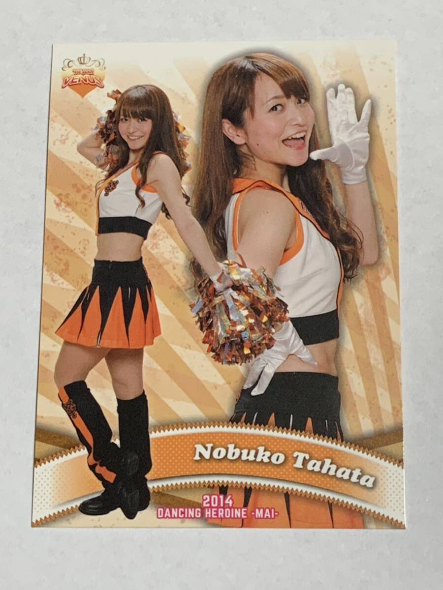 田端信子 2014 BBM チアリーダー 舞 #65 巨人 TEAM VENUS 即決拍卖