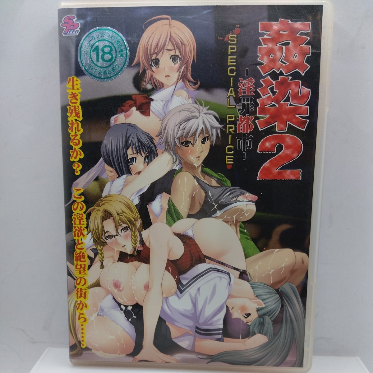 PCゲーム DVDPG 姦染2 ~淫罪都市~拍卖