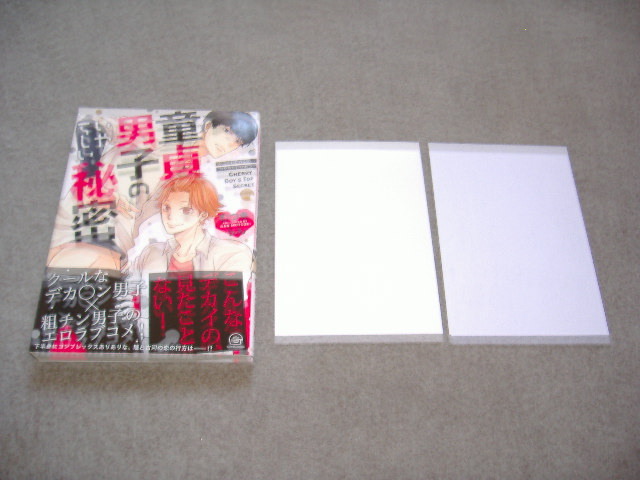 BL●むつきらん「童貞男子のいやらしい秘密」・特典つき拍卖