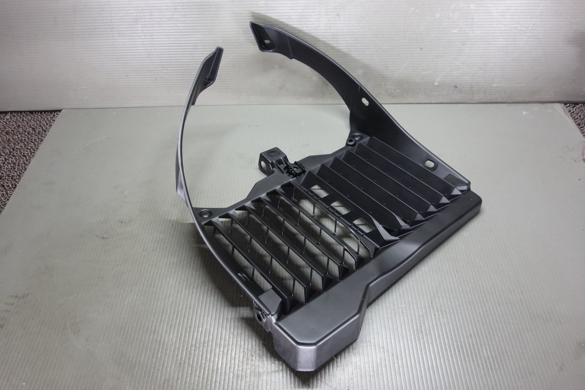 テネレ700 ガード カバー ラジエーター ラジエター XT700Z DM09J ヤマハ 純正 BW3-E2498-00 新品 未使用 #R20240226拍卖