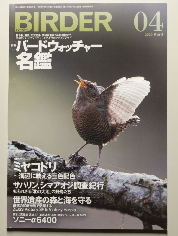BIRDER 2020年4月号 バーダー / 文一総合出版 / 野鳥撮影 探鳥 バードウォッチング バードウォッチャー拍卖
