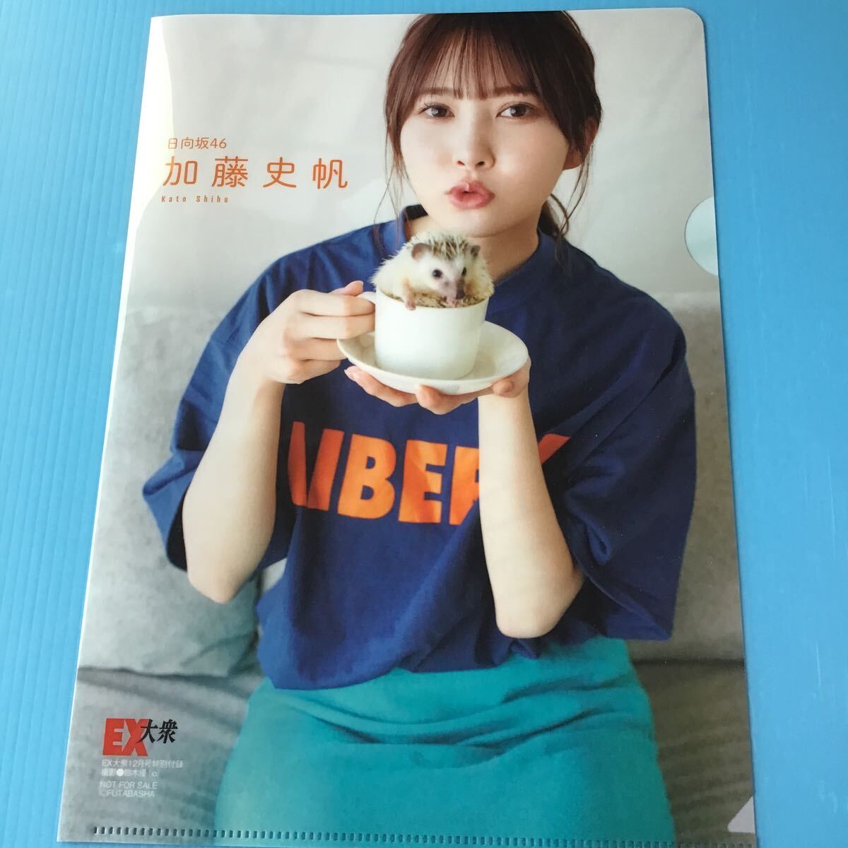 加藤史帆 クリアファイル「 EX大衆 12月号」付録 「 日向坂46 加藤史帆 B5 クリアファイル 」かとうしほ さん 拍卖
