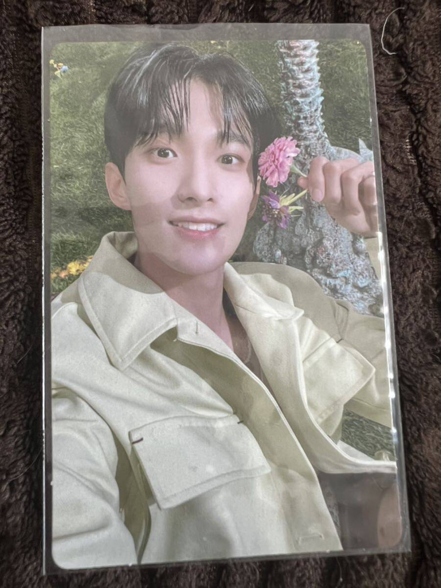 SEVENTEEN SECTOR17 ドギョム カード トレカ拍卖