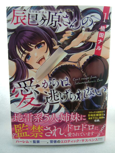 コミックス 辰巳ヶ原さんの愛からは逃げられない 1巻 240406 本 コミック マンガ 漫画 槙田ナル拍卖