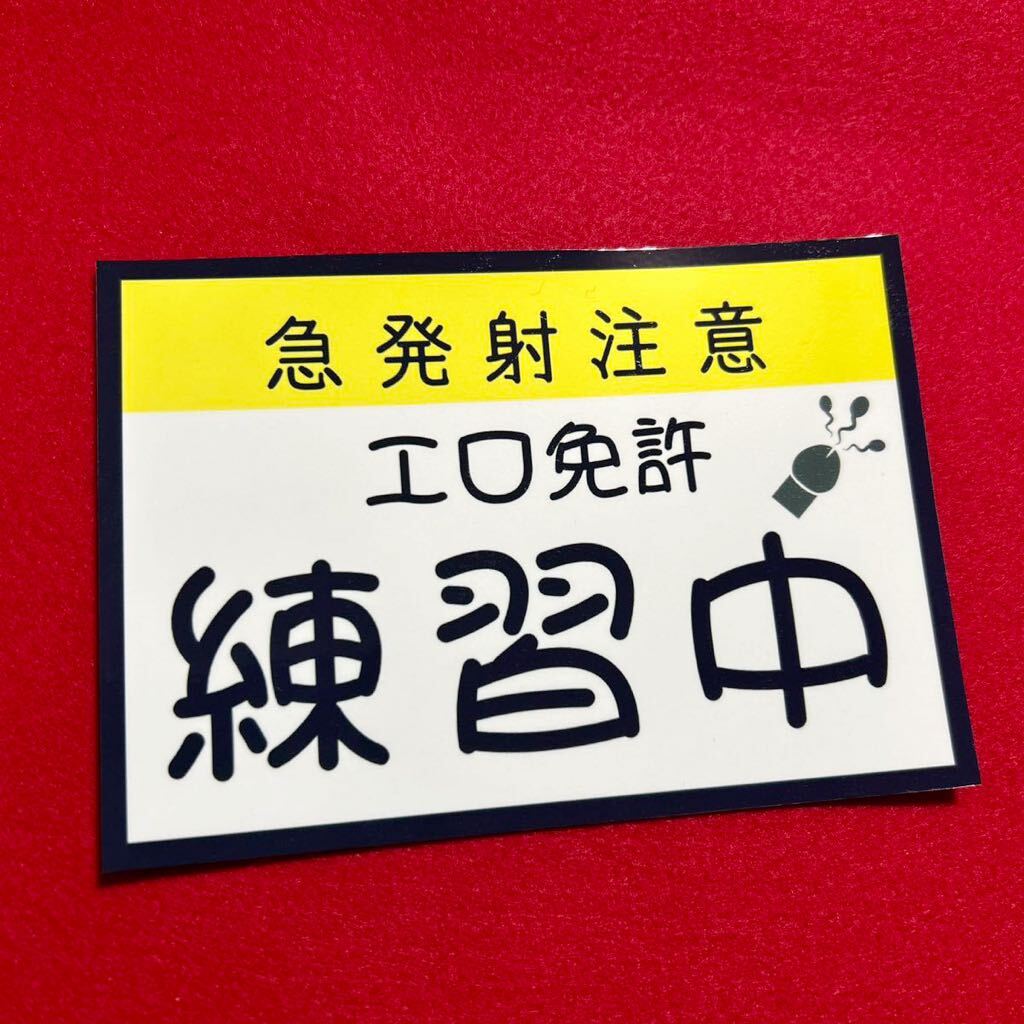 エロ免許練習中 パロディ ステッカー デコトラ レトロ 旧車会 暴走族拍卖