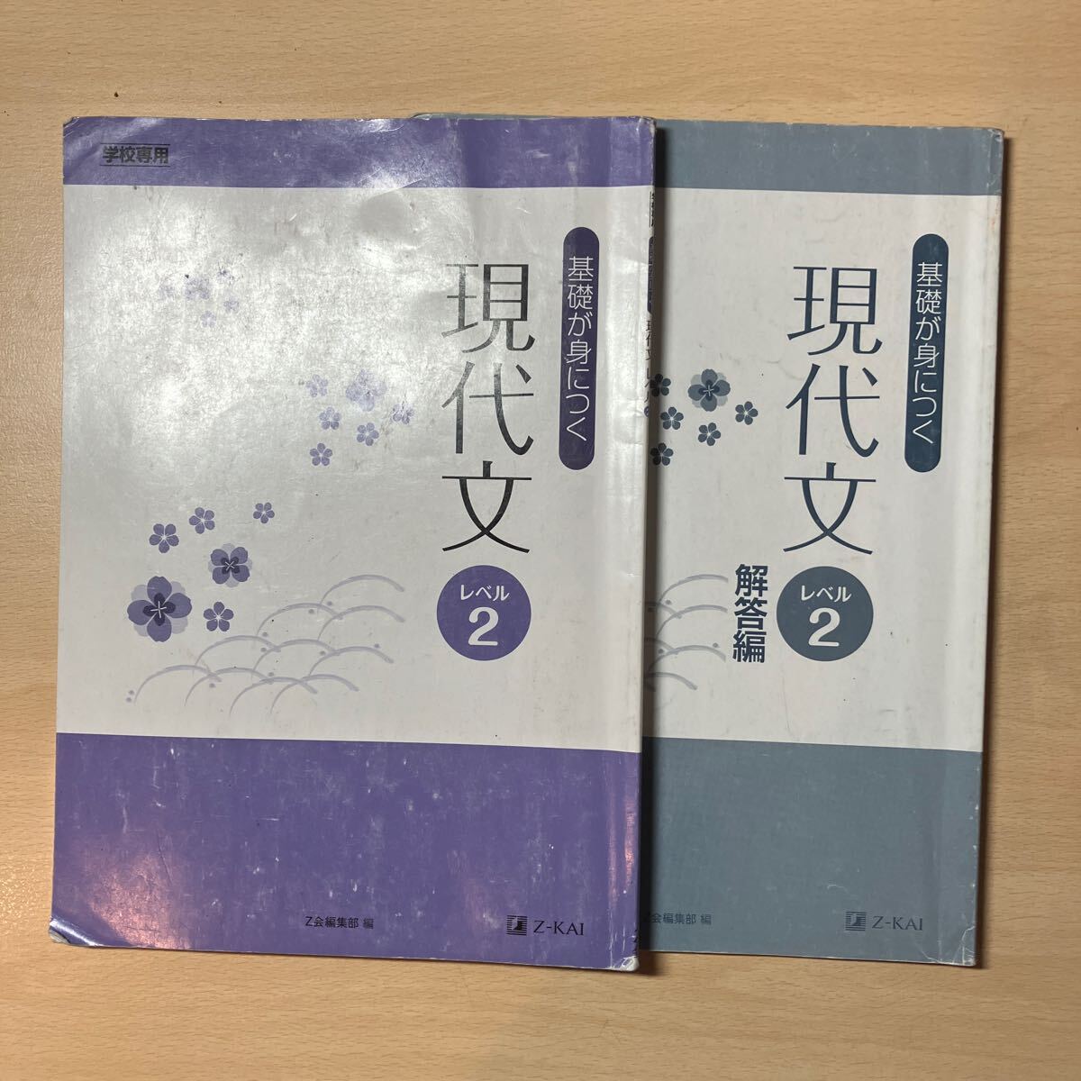 基礎が身につく現代文 レベル2 Z-KAI 一部記入済み拍卖