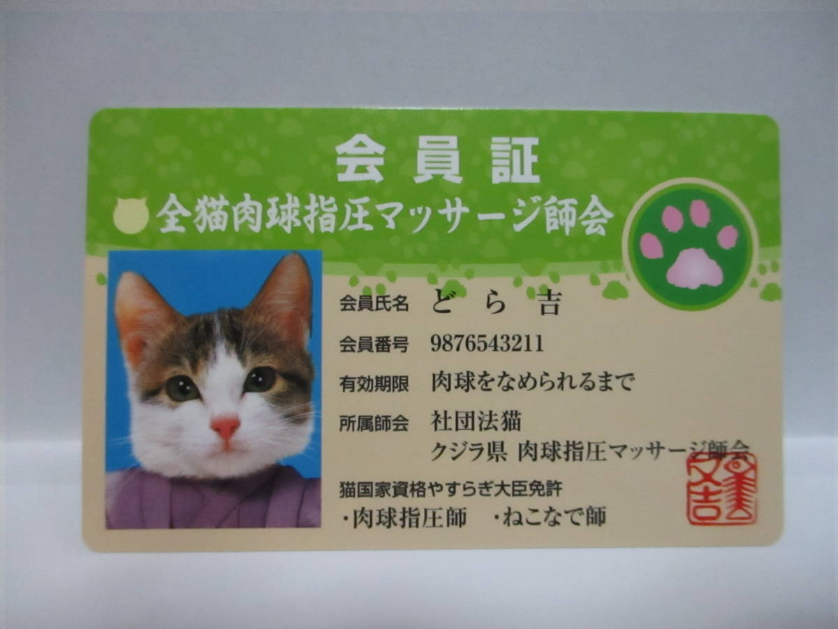 ★ なめ猫 全猫肉球指圧マッサージ師会 会員証 どら吉 新品 即決 なめんなよ ★ なめ猫同梱検索拍卖