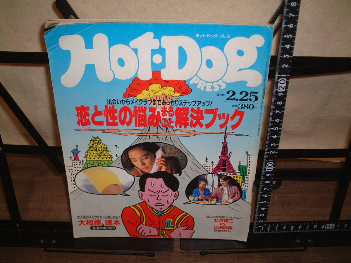 ホットドッグ・プレス 1992年2/25 恋と性の悩みまるごと解決ブック 千葉麗子 他拍卖