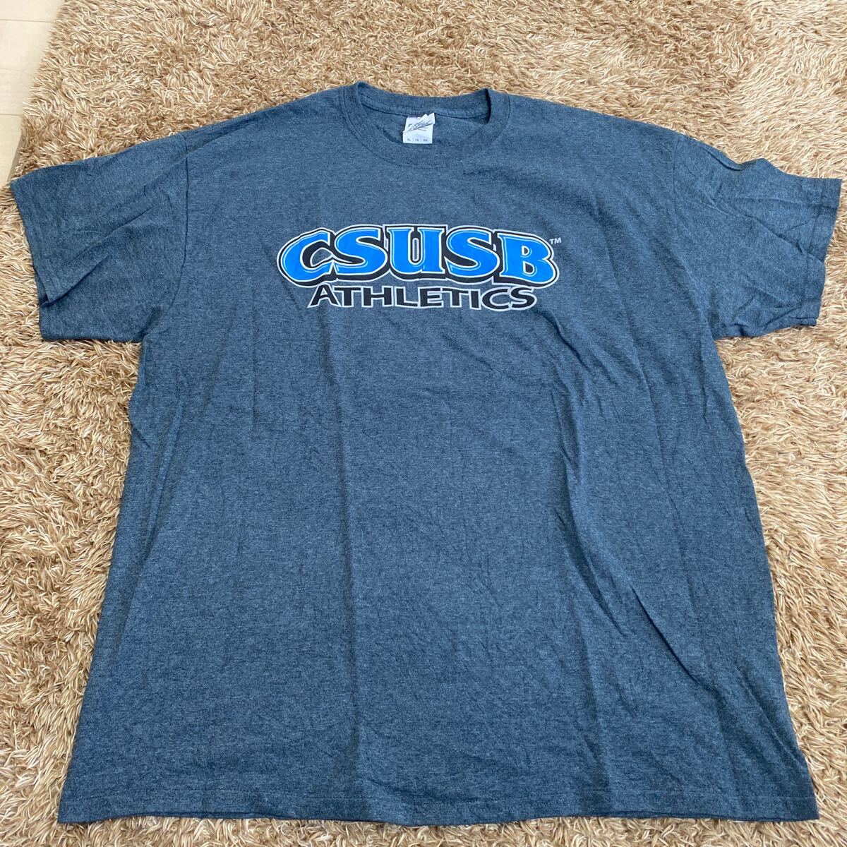 t77 GILDAN Tシャツ サイズXL表記 ニカラグア製拍卖