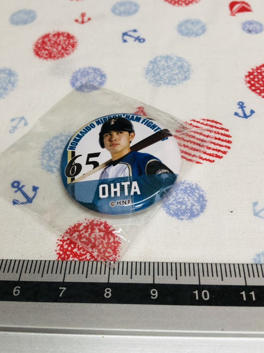北海道日本ハムファイターズ 缶バッジ 太田賢吾拍卖