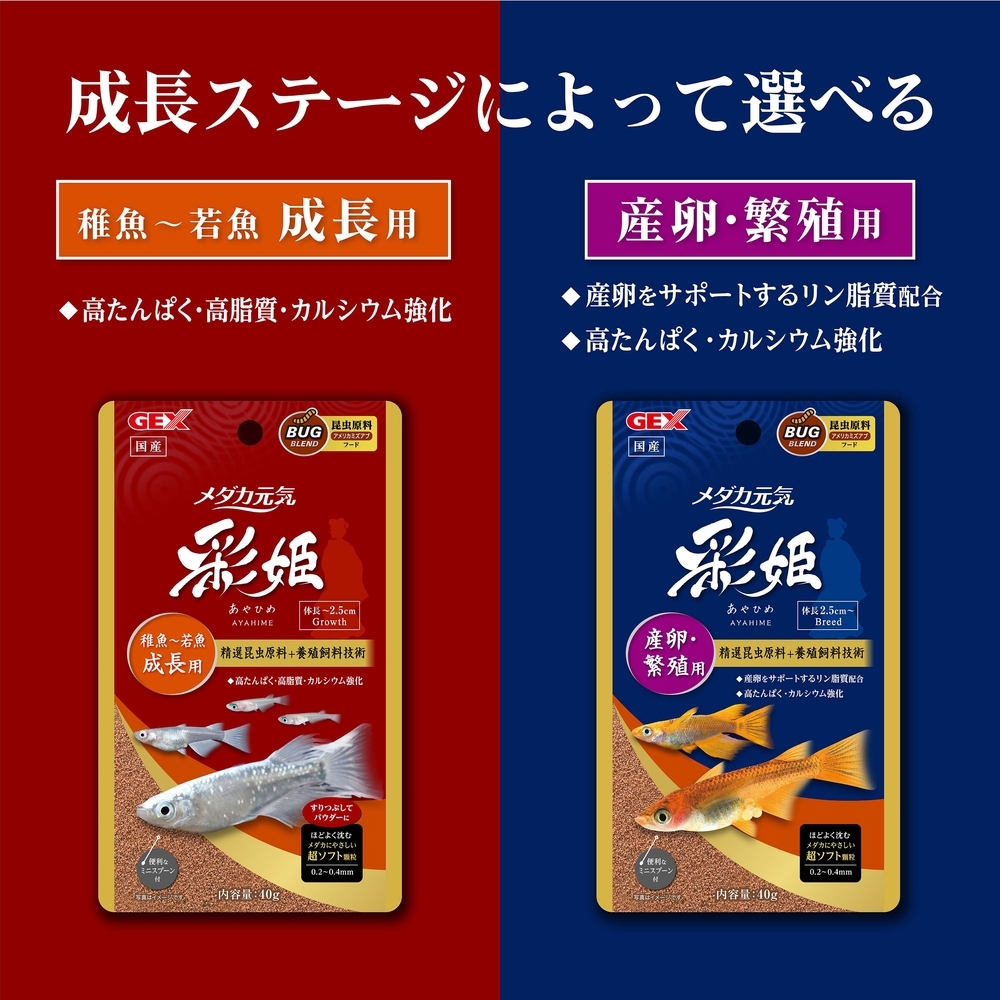 新商品 GEX ジェックス メダカ元気 彩姫 産卵・繁殖用 100g + 成長用 100g のセット    送料全国一律 185円拍卖