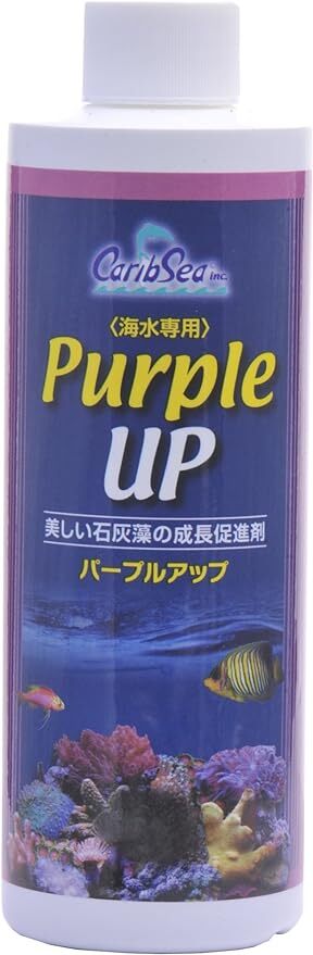 カミハタ カリブシー アラガミルク(480ml)+パープルアップ(480ml)のセット          拍卖