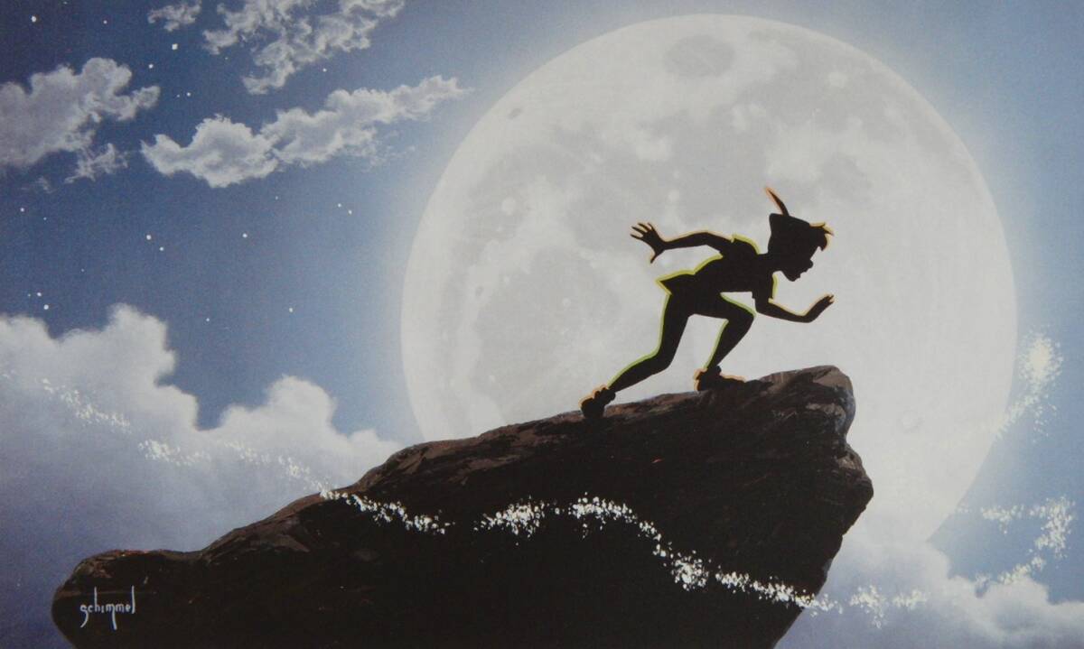 シム・シメール「MOONLIGHT&PIXIE DUST」  希少画集・額装画、日本製新品額縁、状態良好、送料無料拍卖