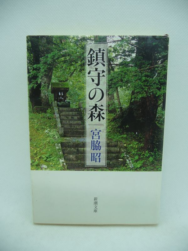 鎮守の森 ★ 宮脇昭 ◆ 世界規模の森林破壊や地球温暖化が加速 きびしい自然環境に耐え大災害にも負けない森を再生する 植樹活動 植生 ◎拍卖