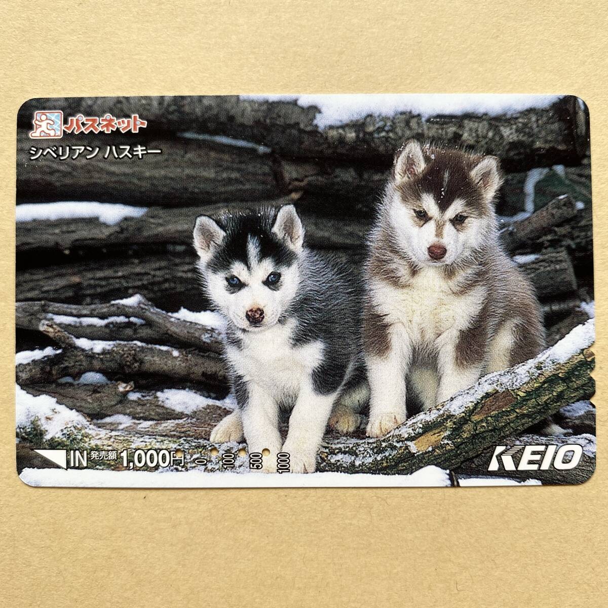【使用済】 パスネット 京王電鉄 シベリアンハスキー 犬拍卖