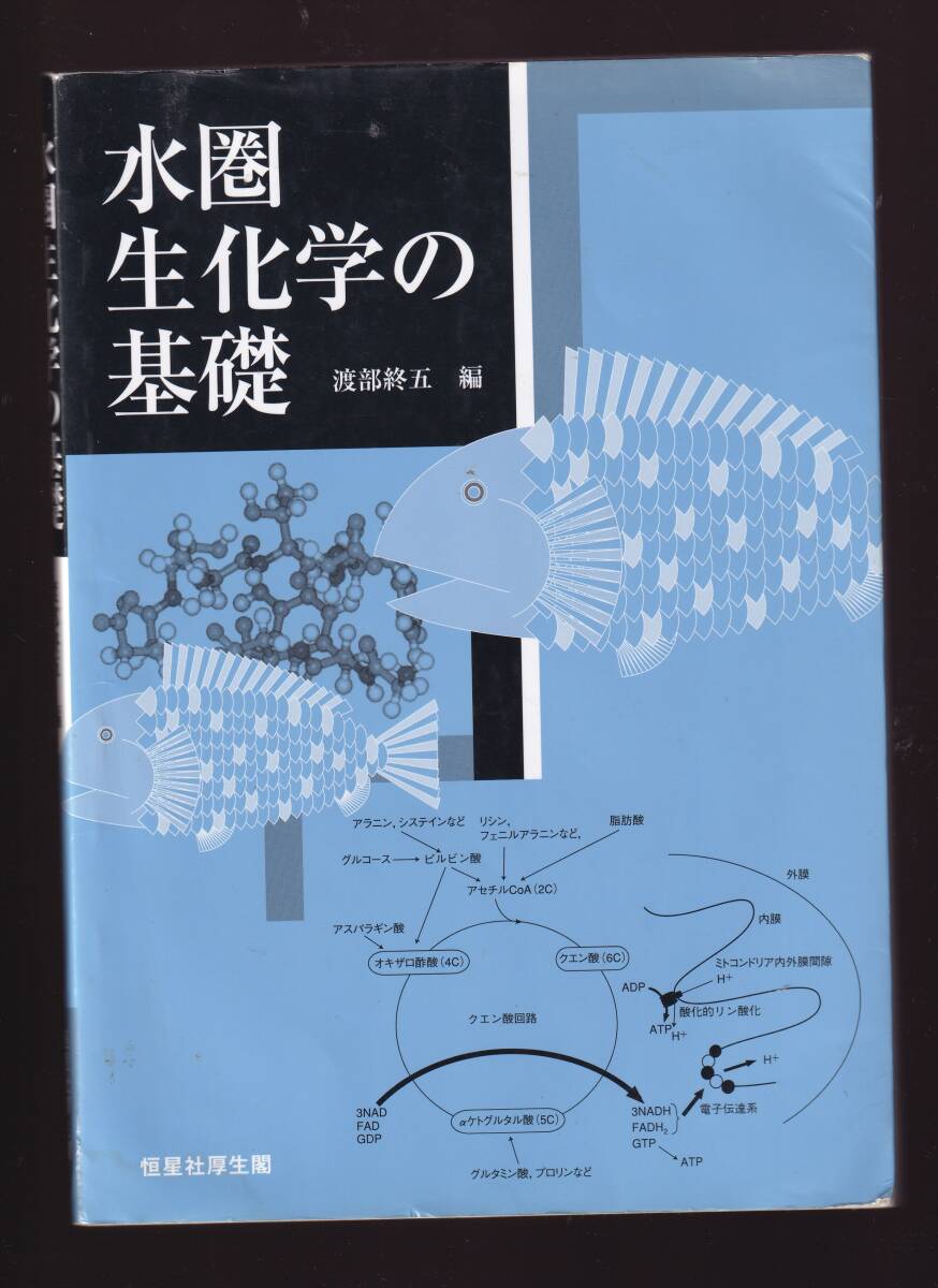 【傷みあり】 水圏生化学の基礎 渡部終五編 恒星社厚生閣 (海洋生物学 水圏生物学拍卖