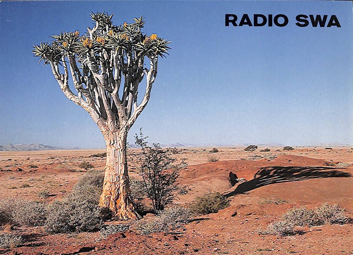 ②BCL★入手困難★希少ベリカード★RADIO SWA★アフリカ★ナミビア★1982年拍卖